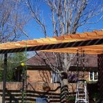Rafters Wood and Steel Pergola